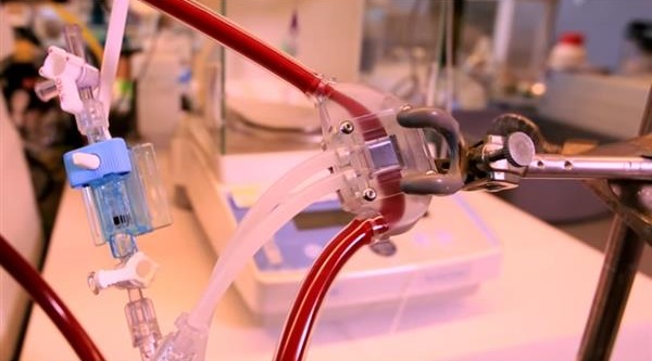 科學家使用3D打印技術(shù)開發(fā)人工腎臟 科學家使用3D打印技術(shù)開發(fā)人工腎臟