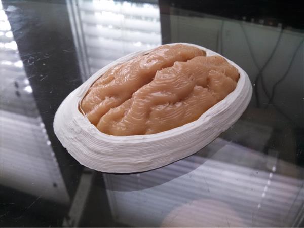 ALT˾_lͳɱĹz3Dӡˇ