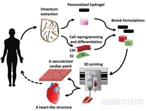 3D打印心臟建模與設(shè)計(jì)流程 3D打印心臟建模與設(shè)計(jì)流程