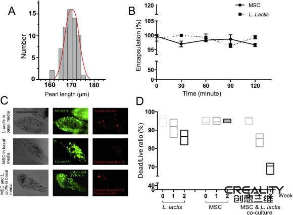 科學家用生物3D打印技術為干細胞工程提供細菌負載微凝膠